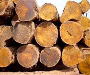 Cơ sở phân phối gỗ nhập khẩu giá rẻ nhất miền Nam 