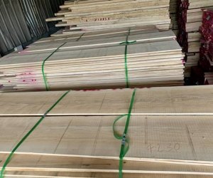Khám phá ngay đơn vị chuyên phân phối gỗ nhập khẩu từ Mỹ