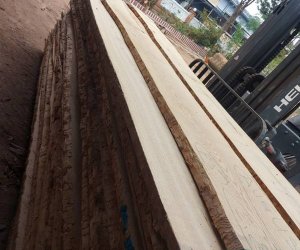 Cơ sở nào phân phối gỗ tần bì nhập giá kho?