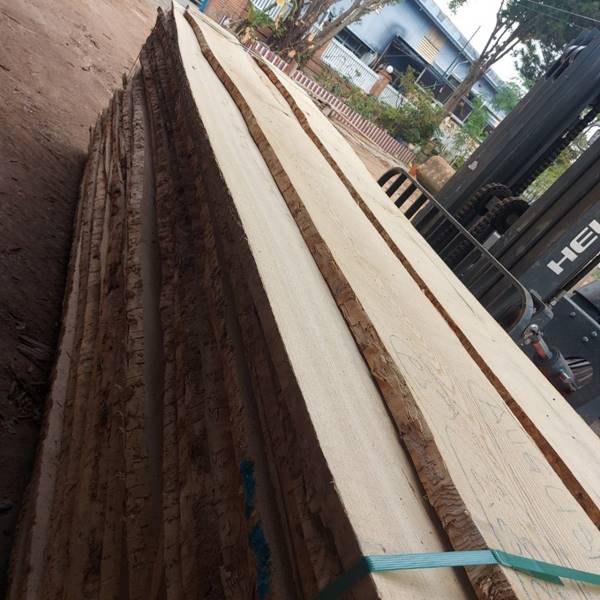 Công ty gỗ tần bì ở tphcm