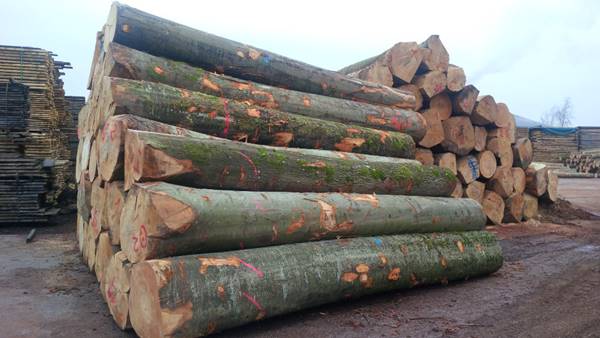 Công ty phân phối gỗ nhập khẩu