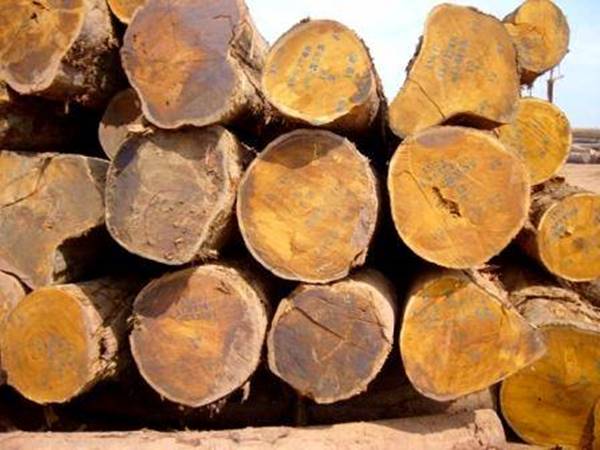 gỗ nhập khẩu châu phi