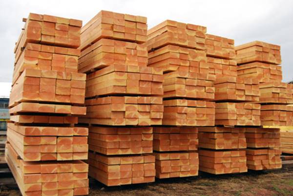 gỗ nhập khẩu nam mỹ