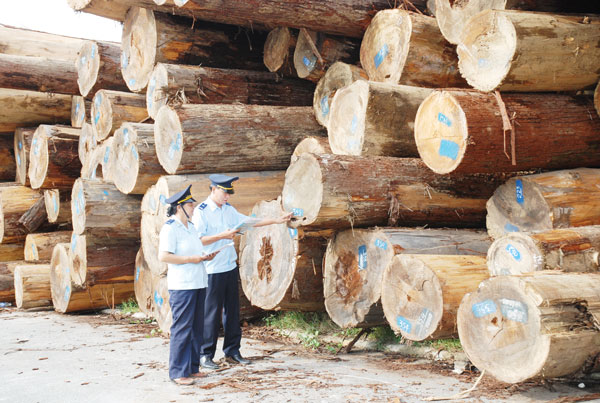 gỗ nhập khẩu từ nga
