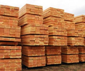 Bạn đã biết đâu là nơi phân phối gỗ nhập khẩu Nam Mỹ uy tín chưa?
