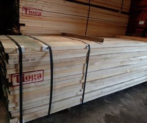 Gỗ Nam Bắc - Kho gỗ tần bì nhập khẩu chất lượng hiện nay